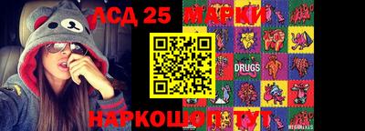 прущие грибы Новодвинск