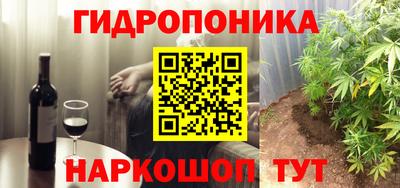 прущие грибы Новодвинск