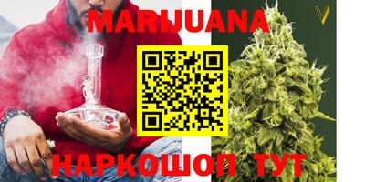 прущие грибы Новодвинск