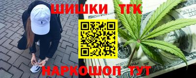 прущие грибы Новодвинск